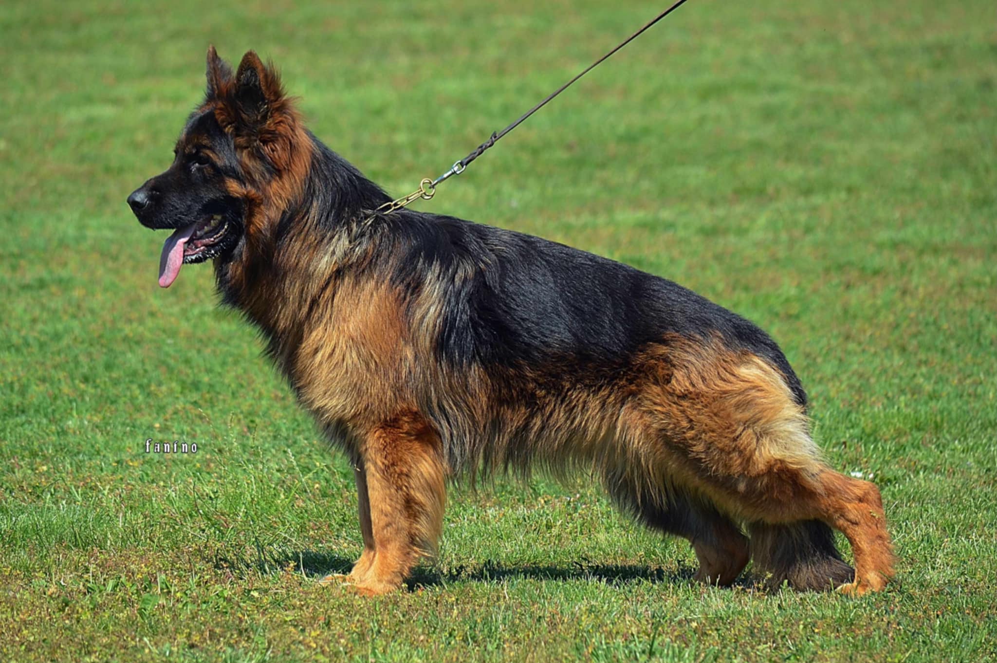 fc3d2786-7a63-488d-bdd4-f9a5801c8ebb